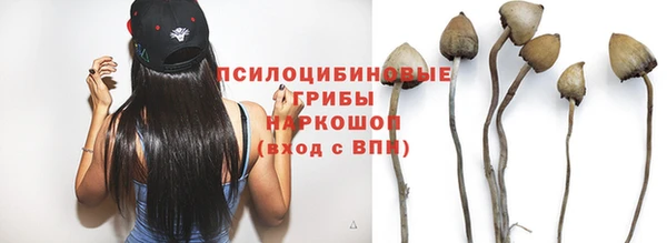 эйфоретик Инта
